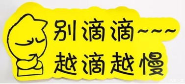 實習(xí)車上路 真的可怕嗎？解析馬路上的“隱形警報”與汽車陪駕服務(wù)